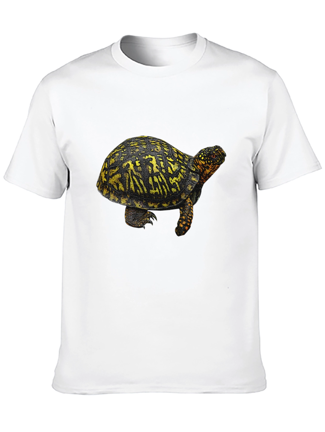 Turtle Graphic Tee - Black Crew Neck T-Shirt