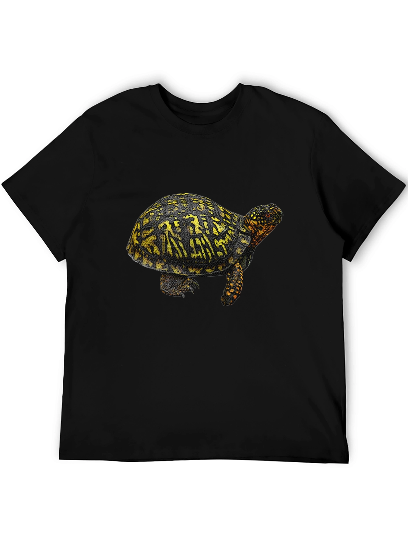 Turtle Graphic Tee - Black Crew Neck T-Shirt