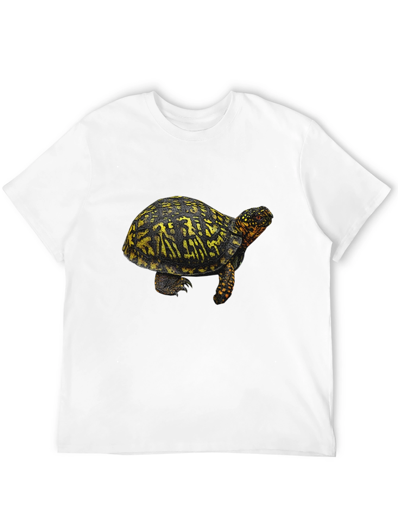 Turtle Graphic Tee - Black Crew Neck T-Shirt