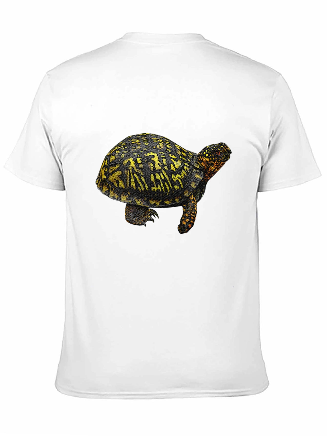 Turtle Graphic Tee - Black Crew Neck T-Shirt
