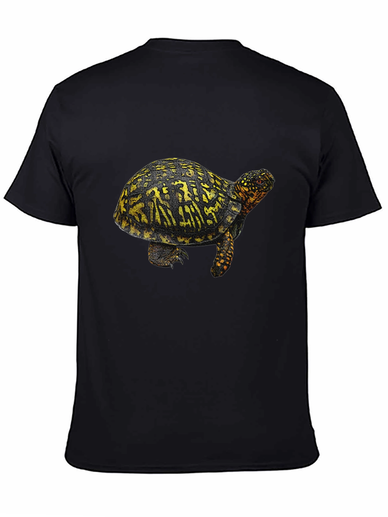 Turtle Graphic Tee - Black Crew Neck T-Shirt
