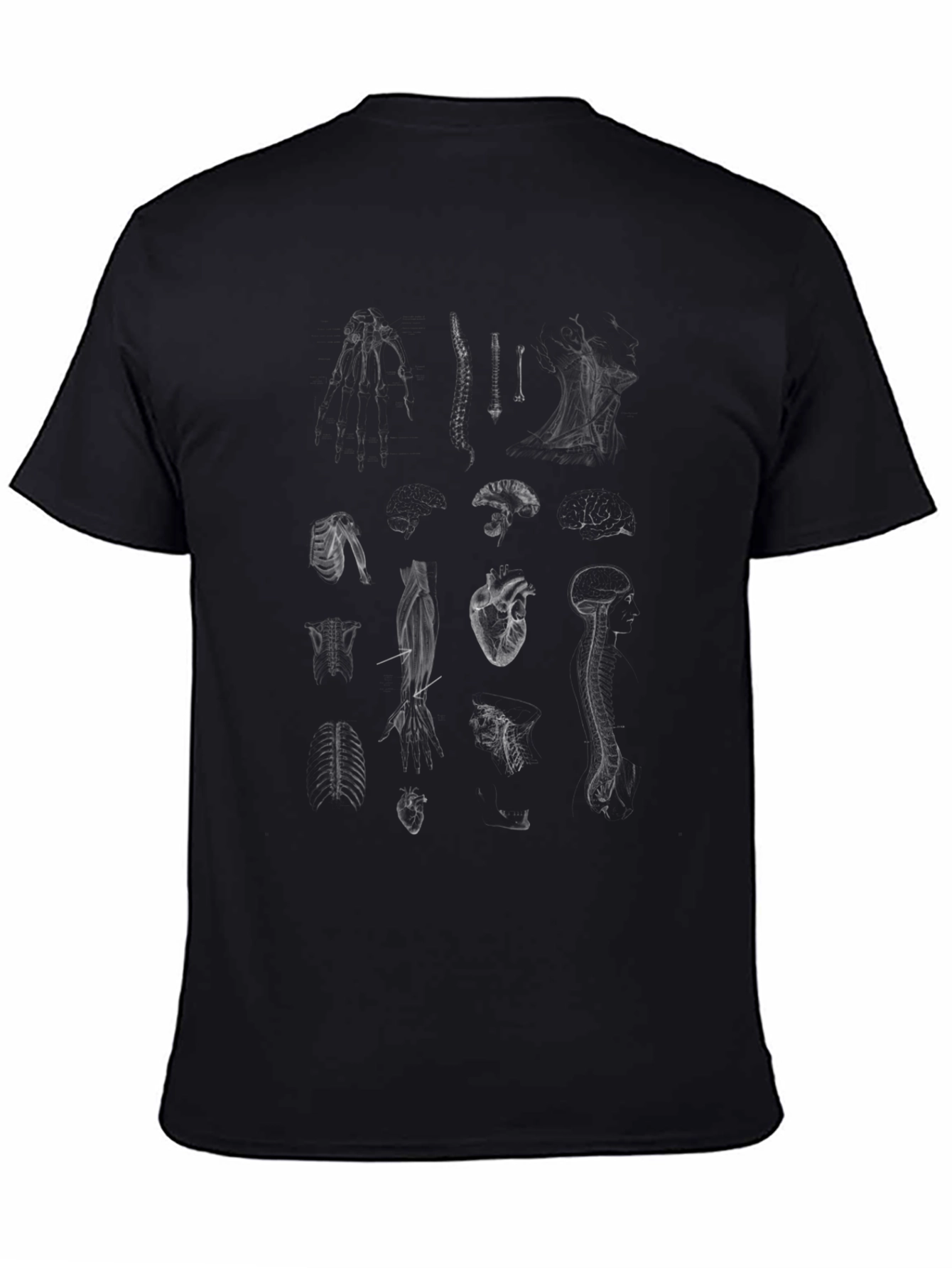 Anatomical Print Tee - Black Graphic T-Shirt