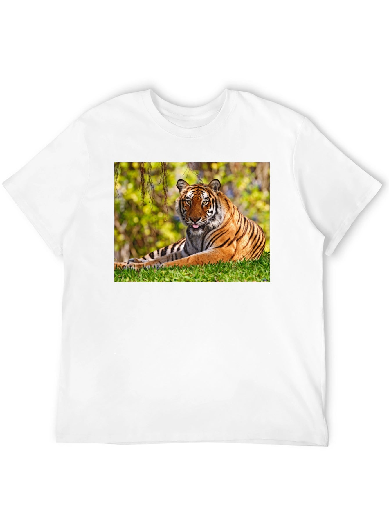 Tiger Graphic Black T-Shirt