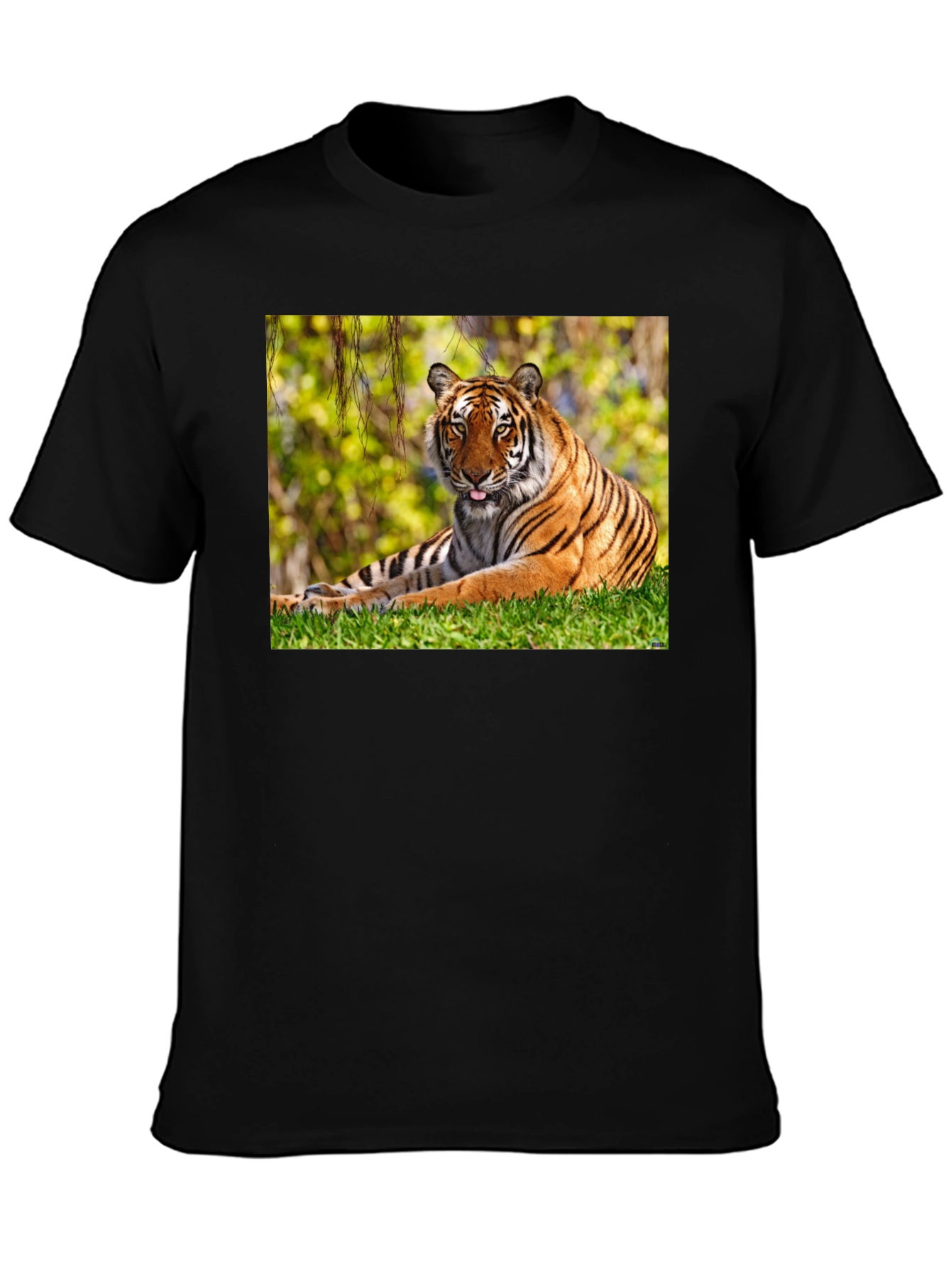 Tiger Graphic Black T-Shirt