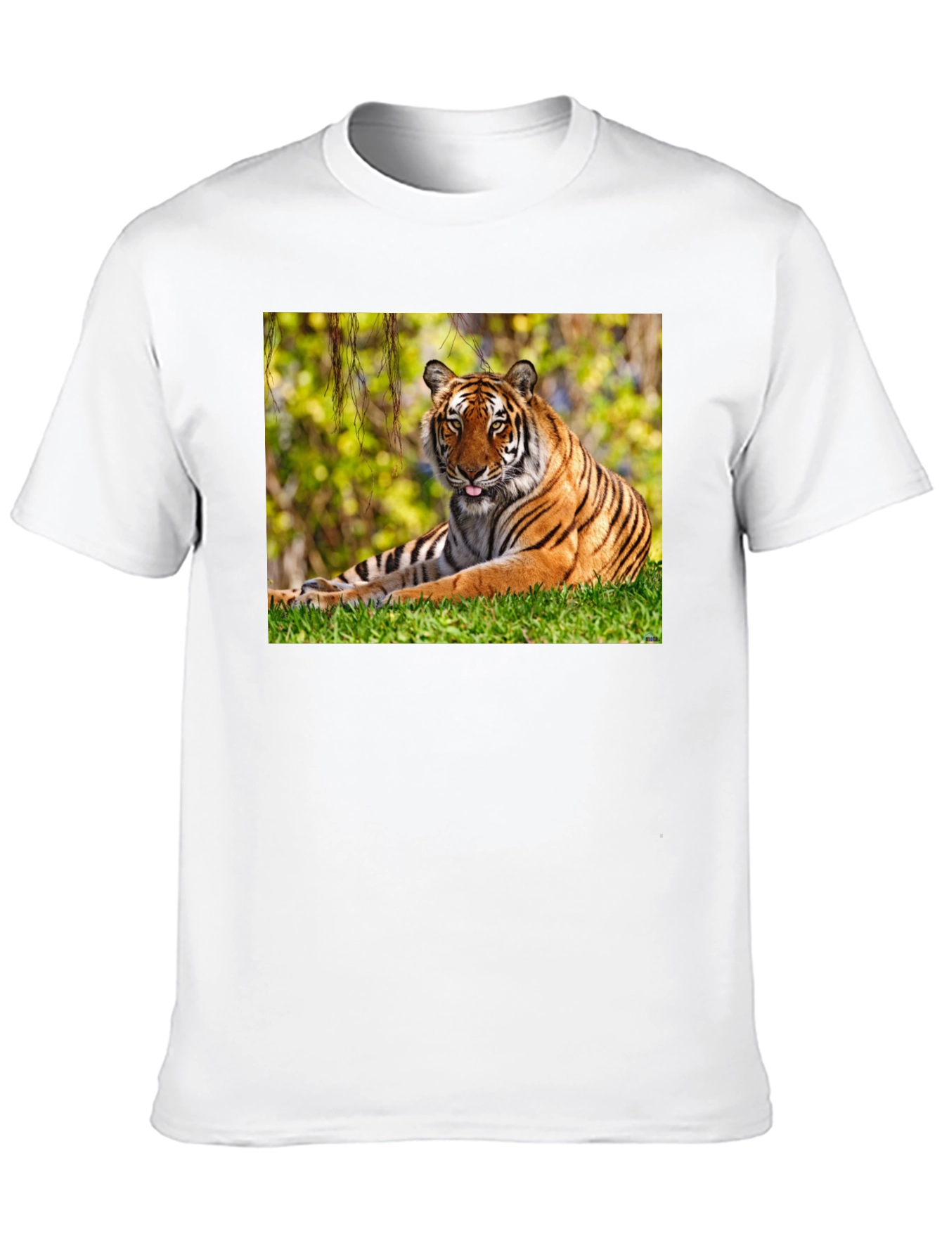 Tiger Graphic Black T-Shirt