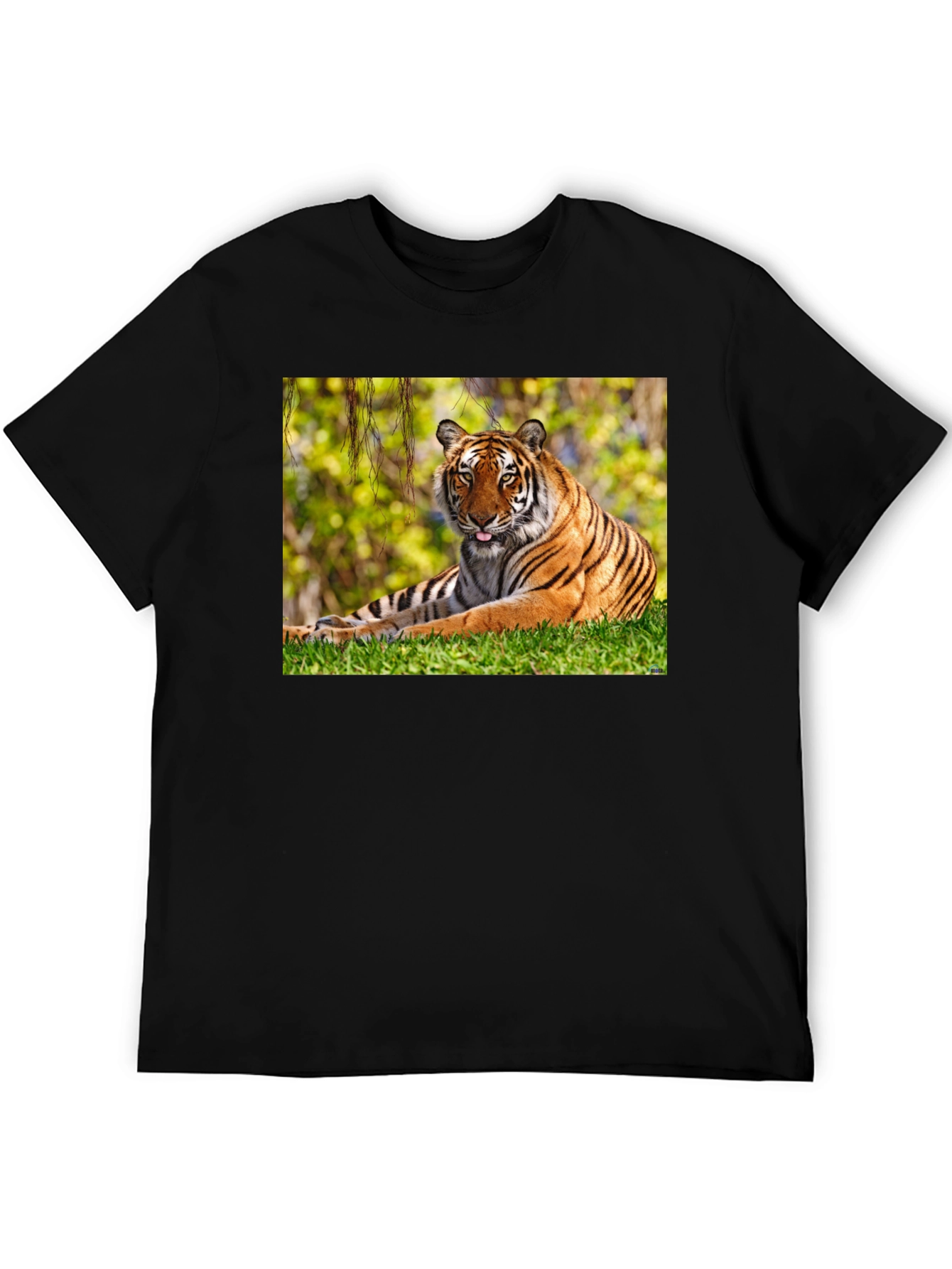 Tiger Graphic Black T-Shirt