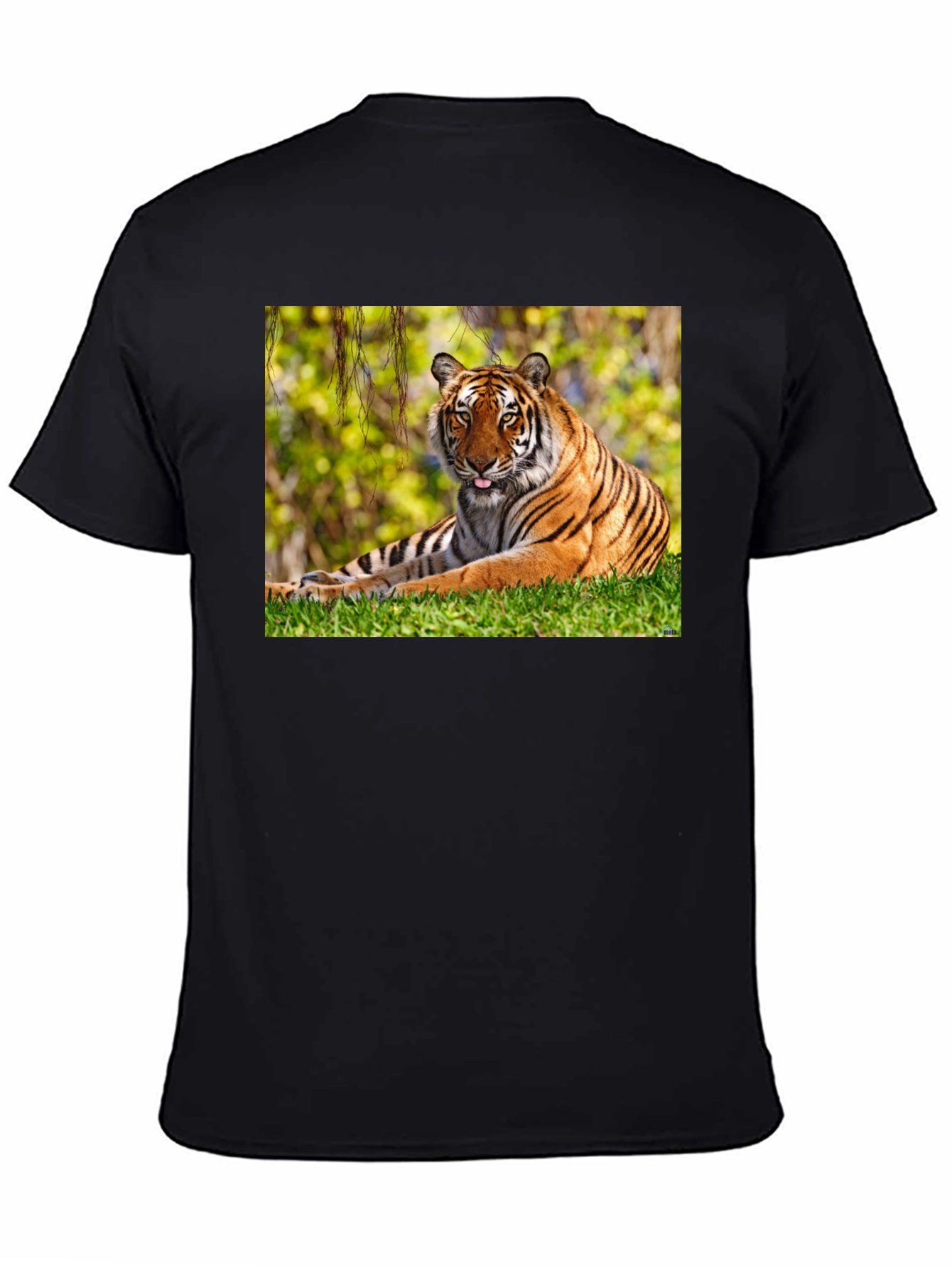 Tiger Graphic Black T-Shirt