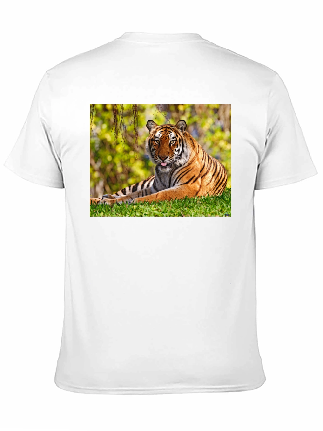 Tiger Graphic Black T-Shirt