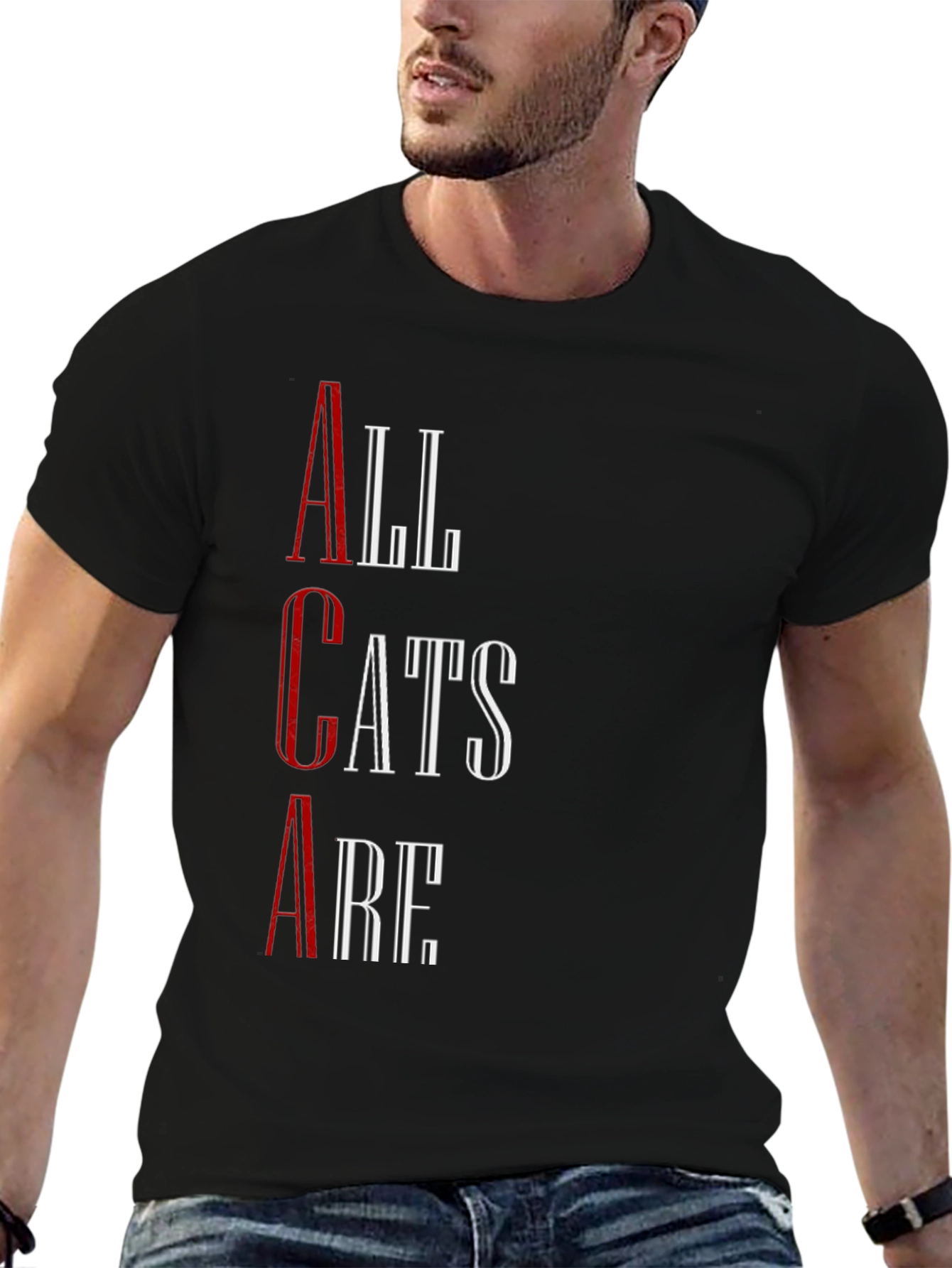 All Cats Are T-Shirt - Black Graphic Tee