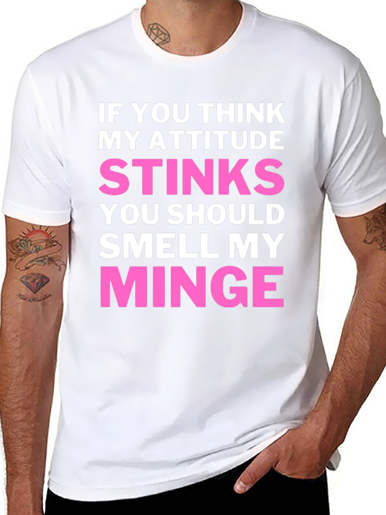Attitude Stinks? Smell My Minge Funny Graphic T-Shirt