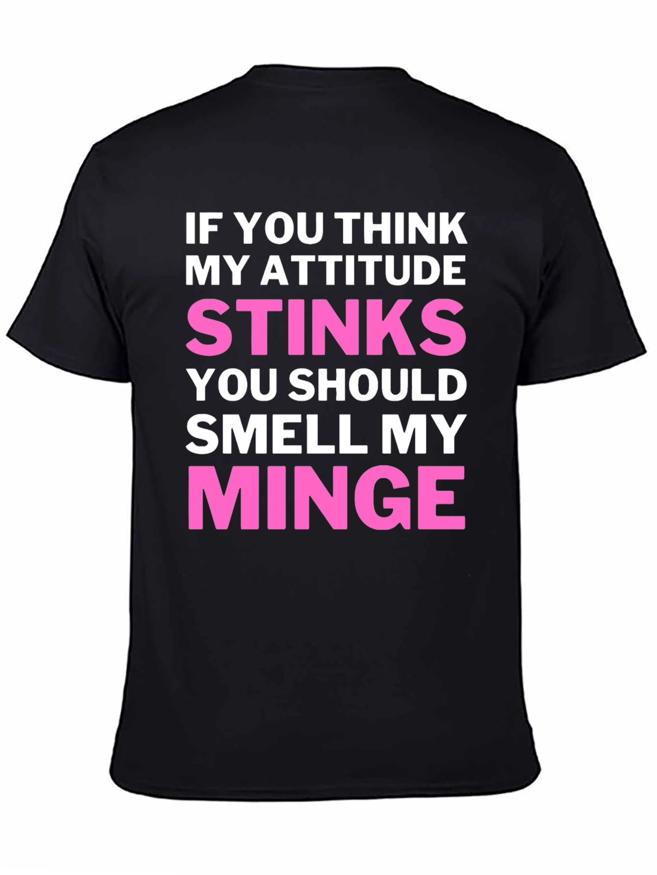 Attitude Stinks? Smell My Minge Funny Graphic T-Shirt
