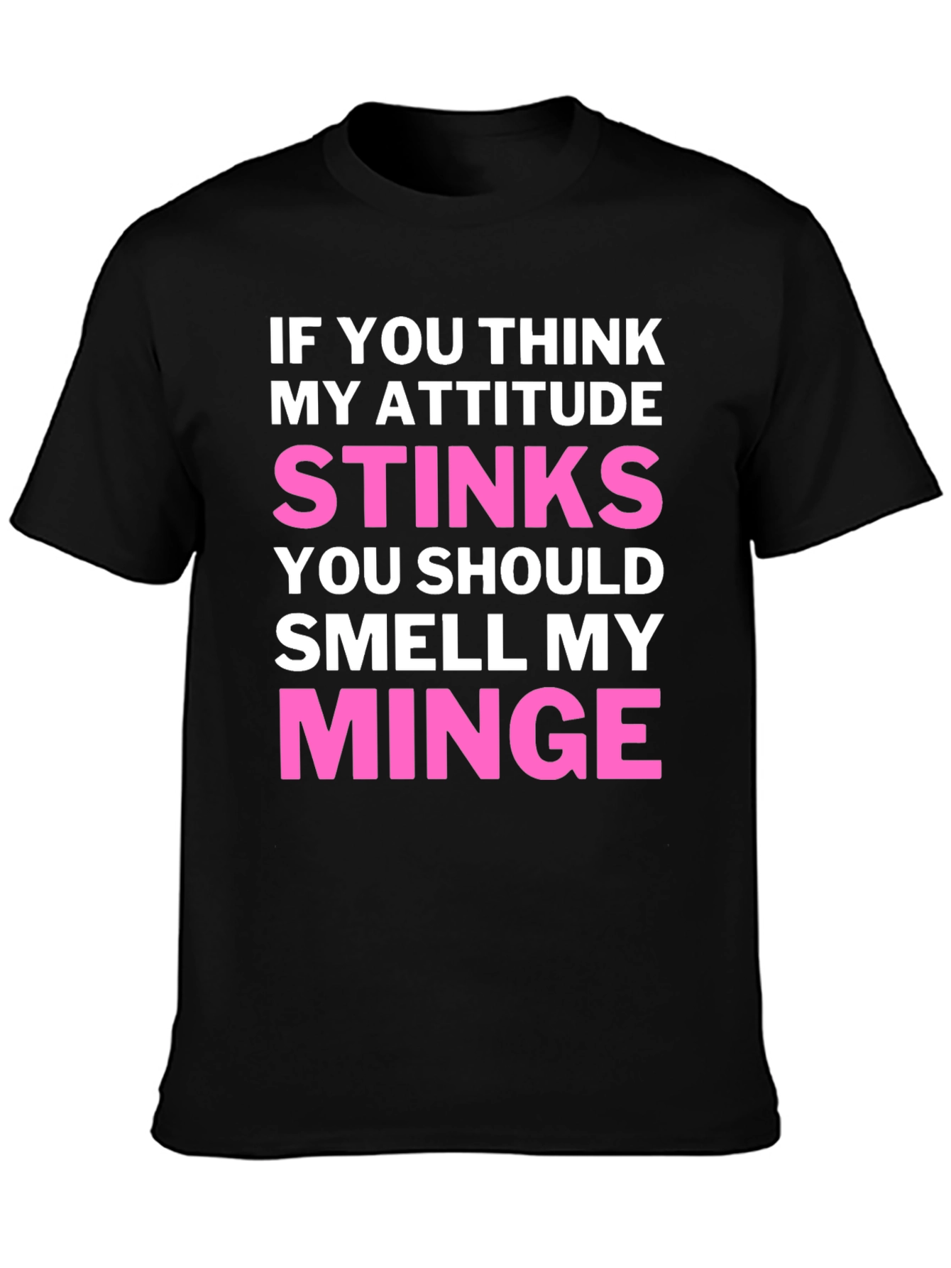 Attitude Stinks? Smell My Minge Funny Graphic T-Shirt