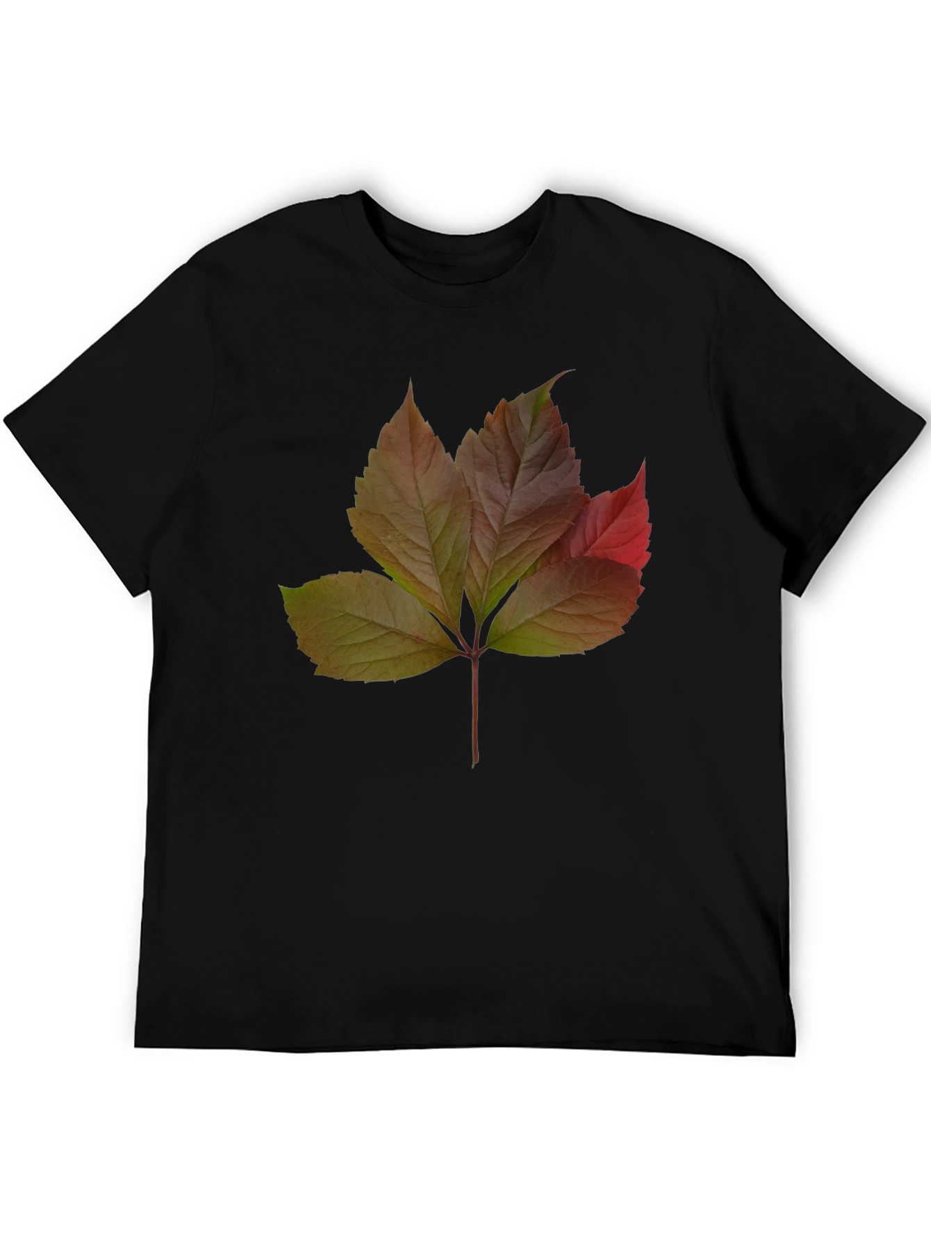Autumn Leaf Graphic T-Shirt - Nature Inspired Design