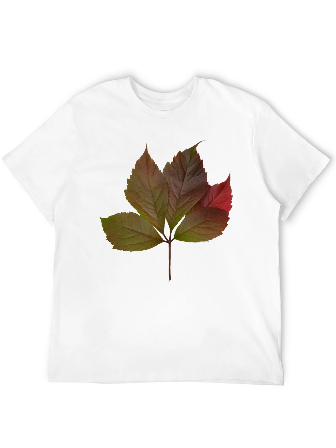 Autumn Leaf Graphic T-Shirt - Nature Inspired Design