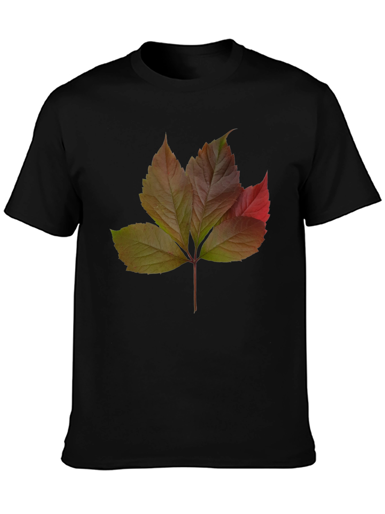 Autumn Leaf Graphic T-Shirt - Nature Inspired Design
