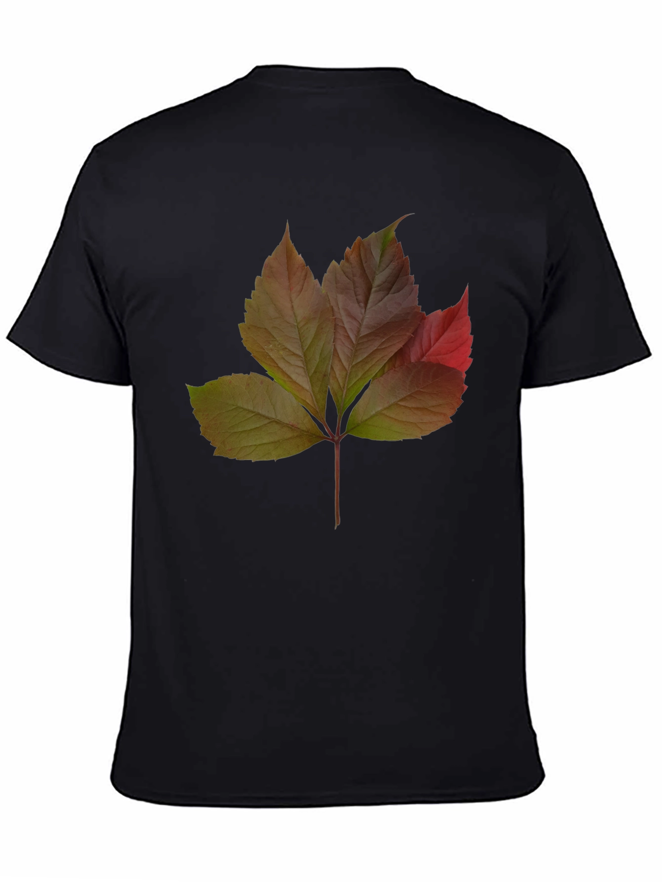 Autumn Leaf Graphic T-Shirt - Nature Inspired Design