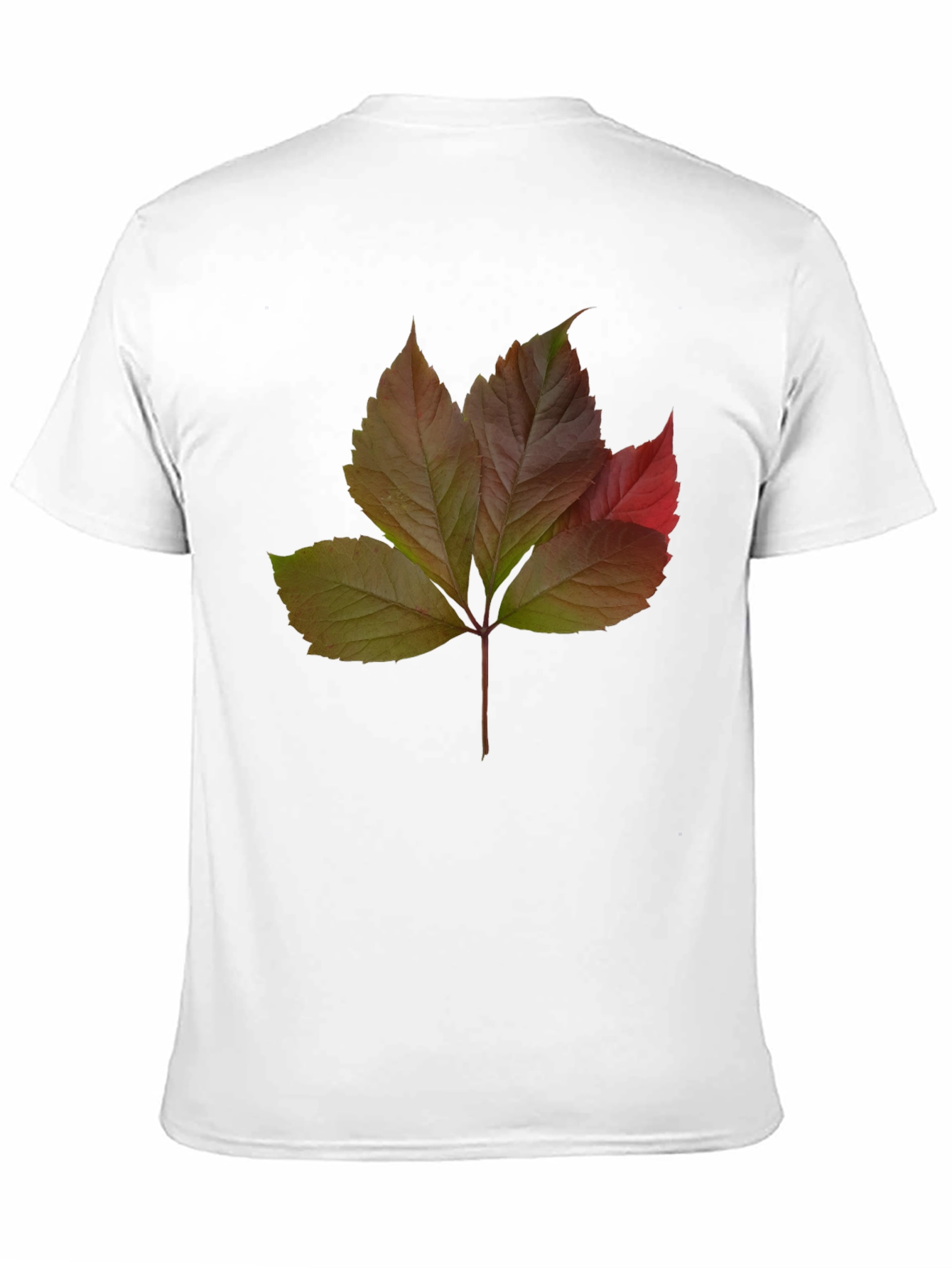 Autumn Leaf Graphic T-Shirt - Nature Inspired Design