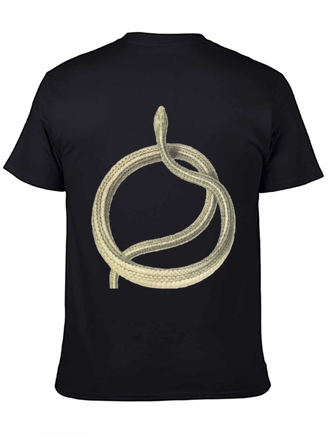 Snake Circle Graphic T-Shirt - Unique Animal Tee