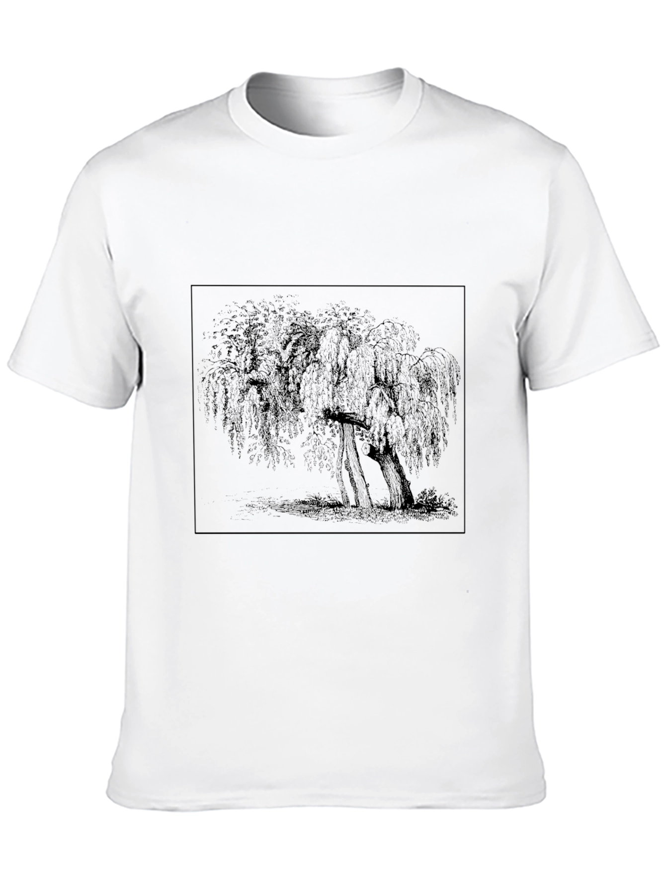 Willow Tree Graphic Tee - Black Casual T-Shirt