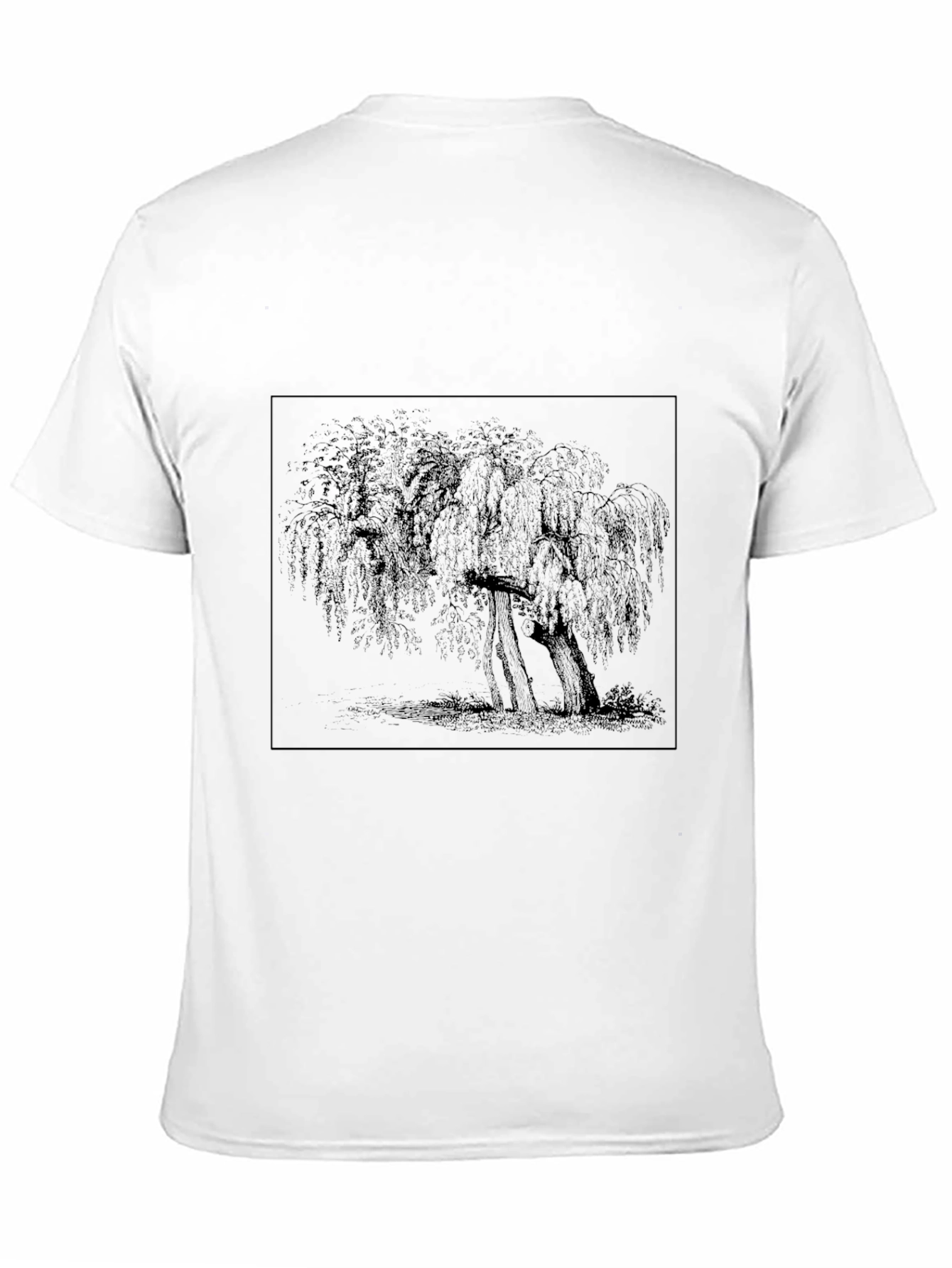 Willow Tree Graphic Tee - Black Casual T-Shirt