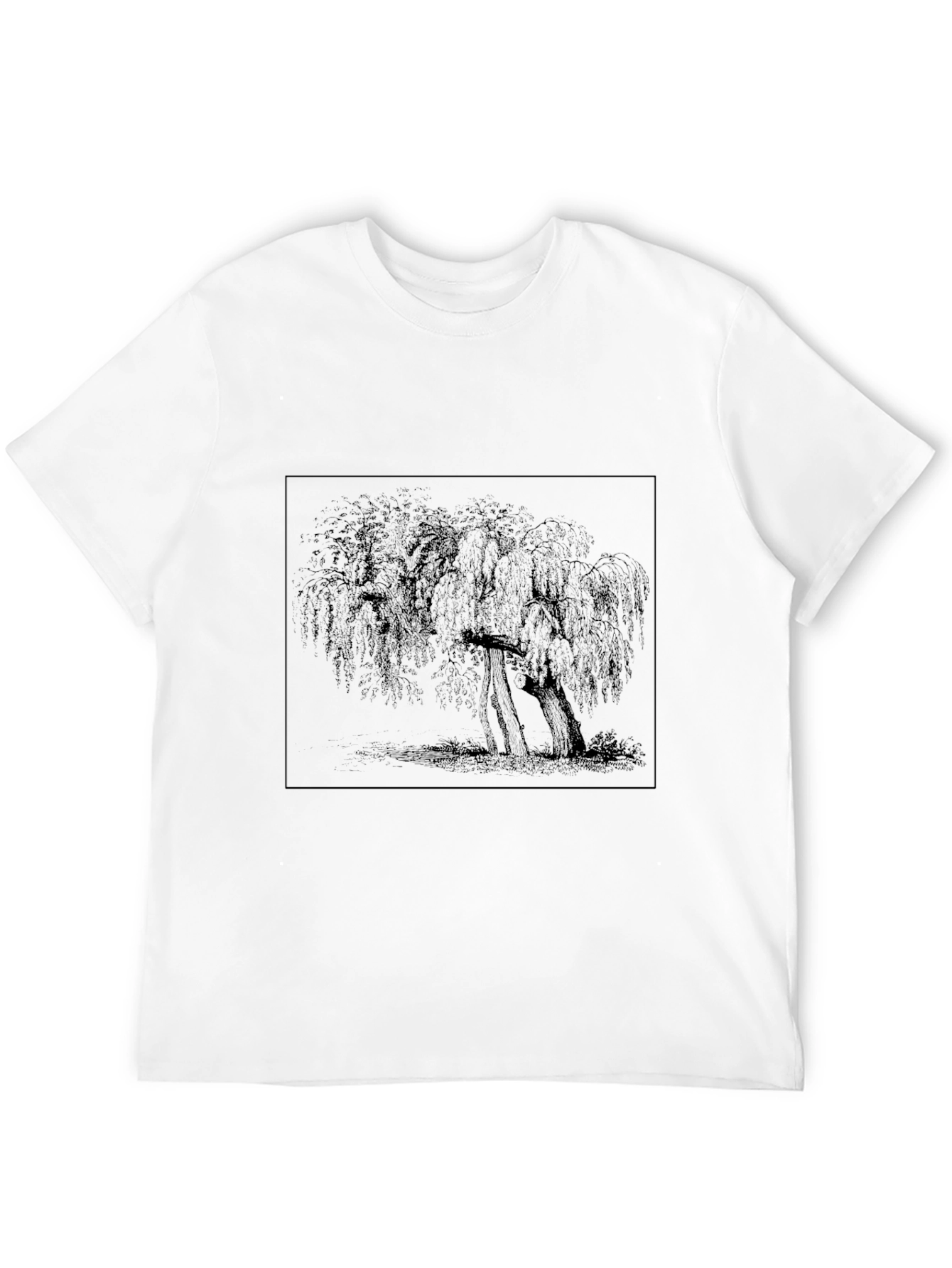 Willow Tree Graphic Tee - Black Casual T-Shirt