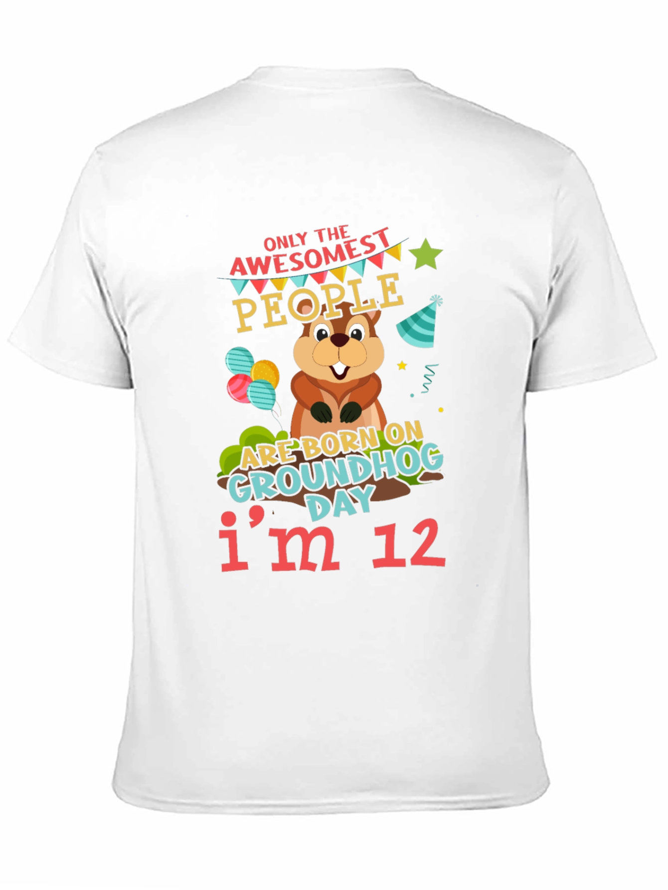 Awesome Groundhog Day 12th Birthday T-Shirt