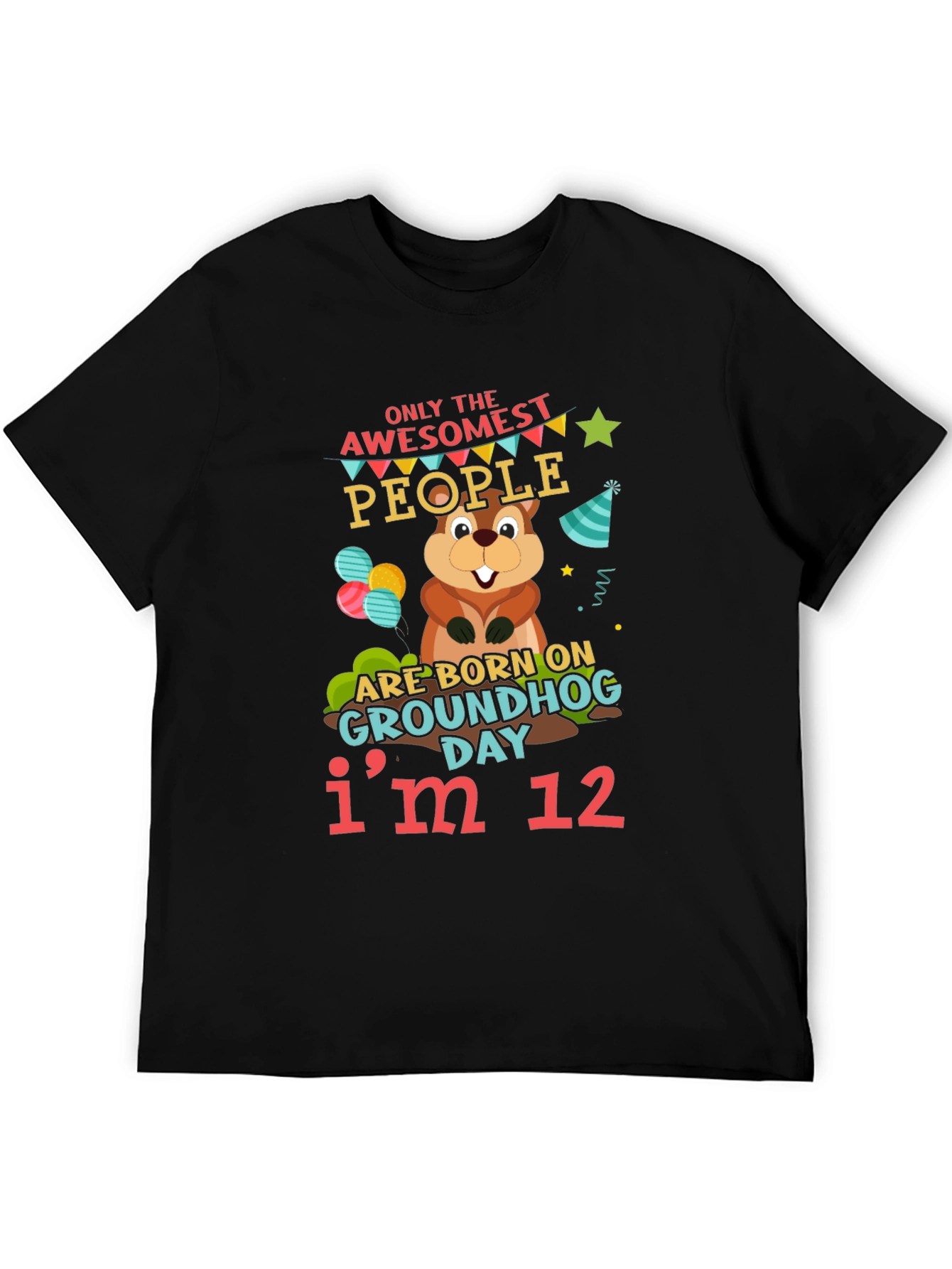 Awesome Groundhog Day 12th Birthday T-Shirt
