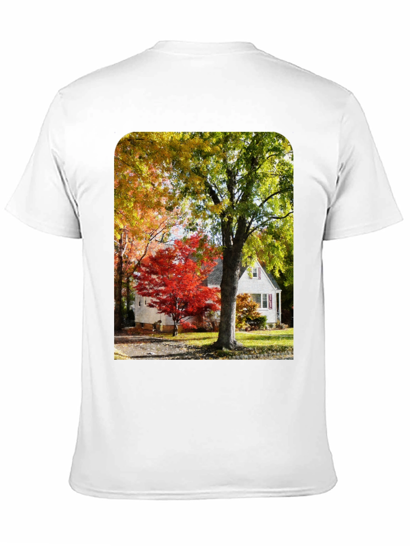 Autumn Scene Graphic Tee - Nature Inspired Shirt
