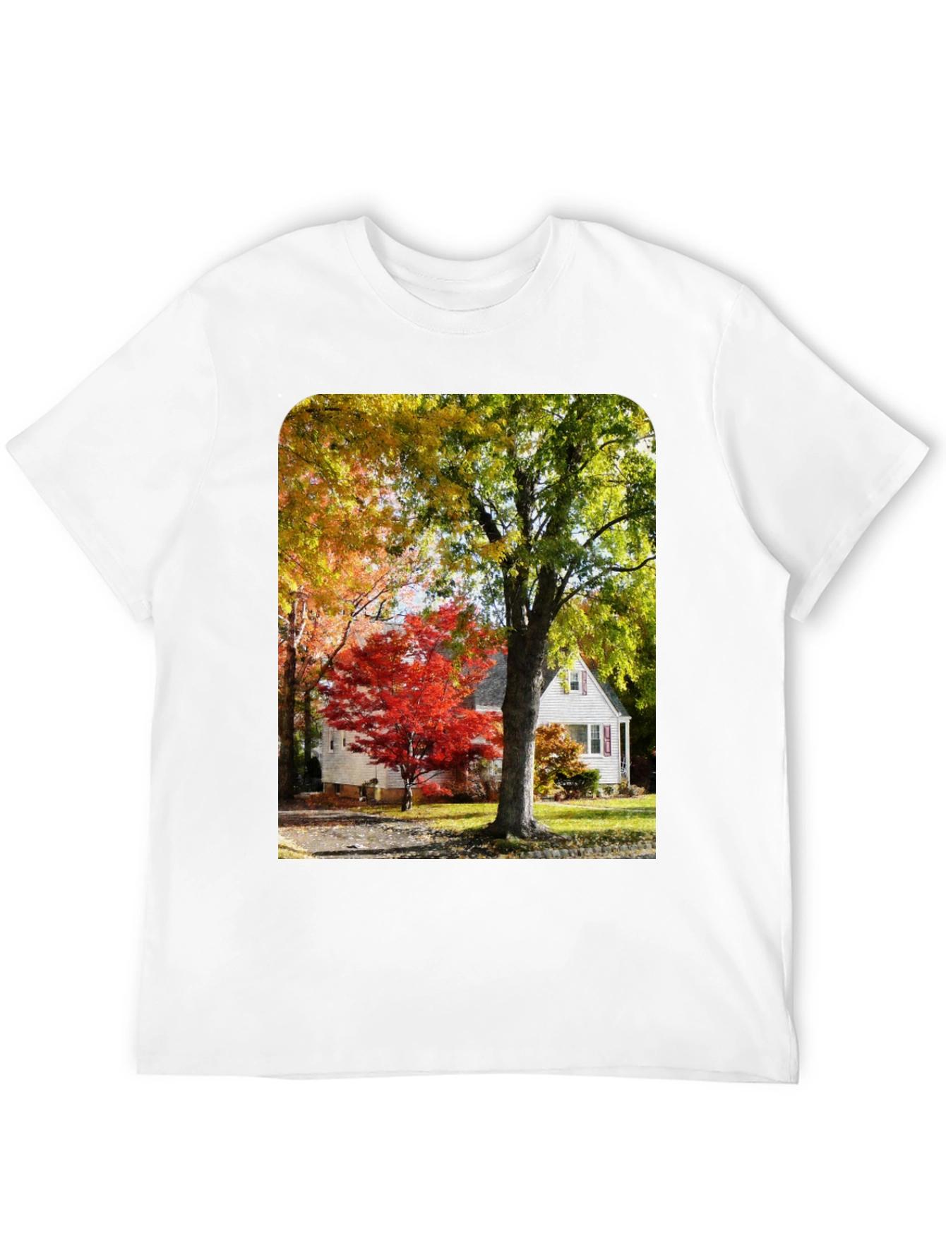 Autumn Scene Graphic Tee - Nature Inspired Shirt