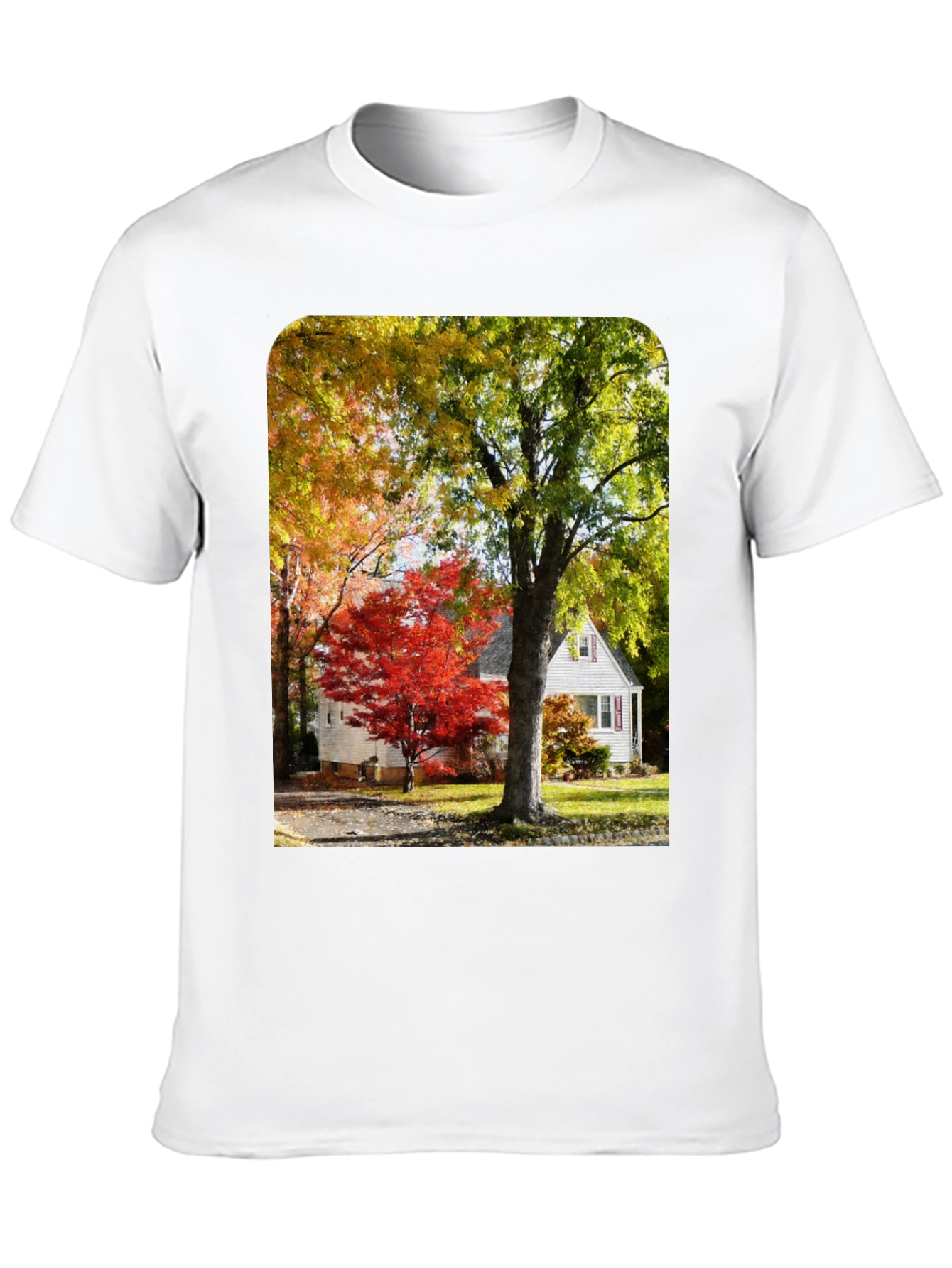 Autumn Scene Graphic Tee - Nature Inspired Shirt