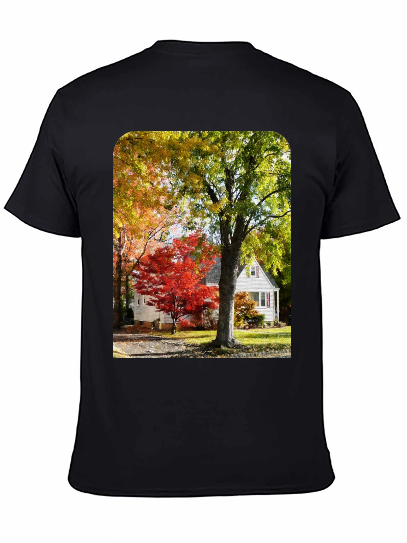 Autumn Scene Graphic Tee - Nature Inspired Shirt