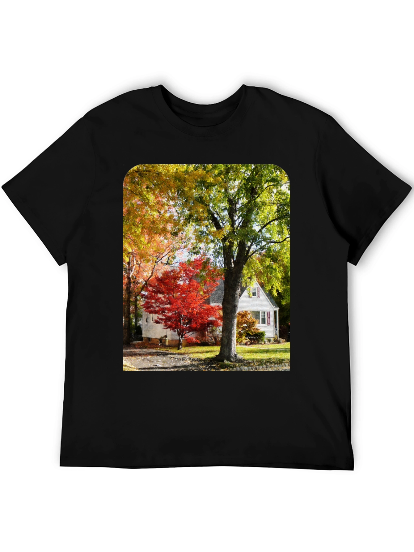 Autumn Scene Graphic Tee - Nature Inspired Shirt