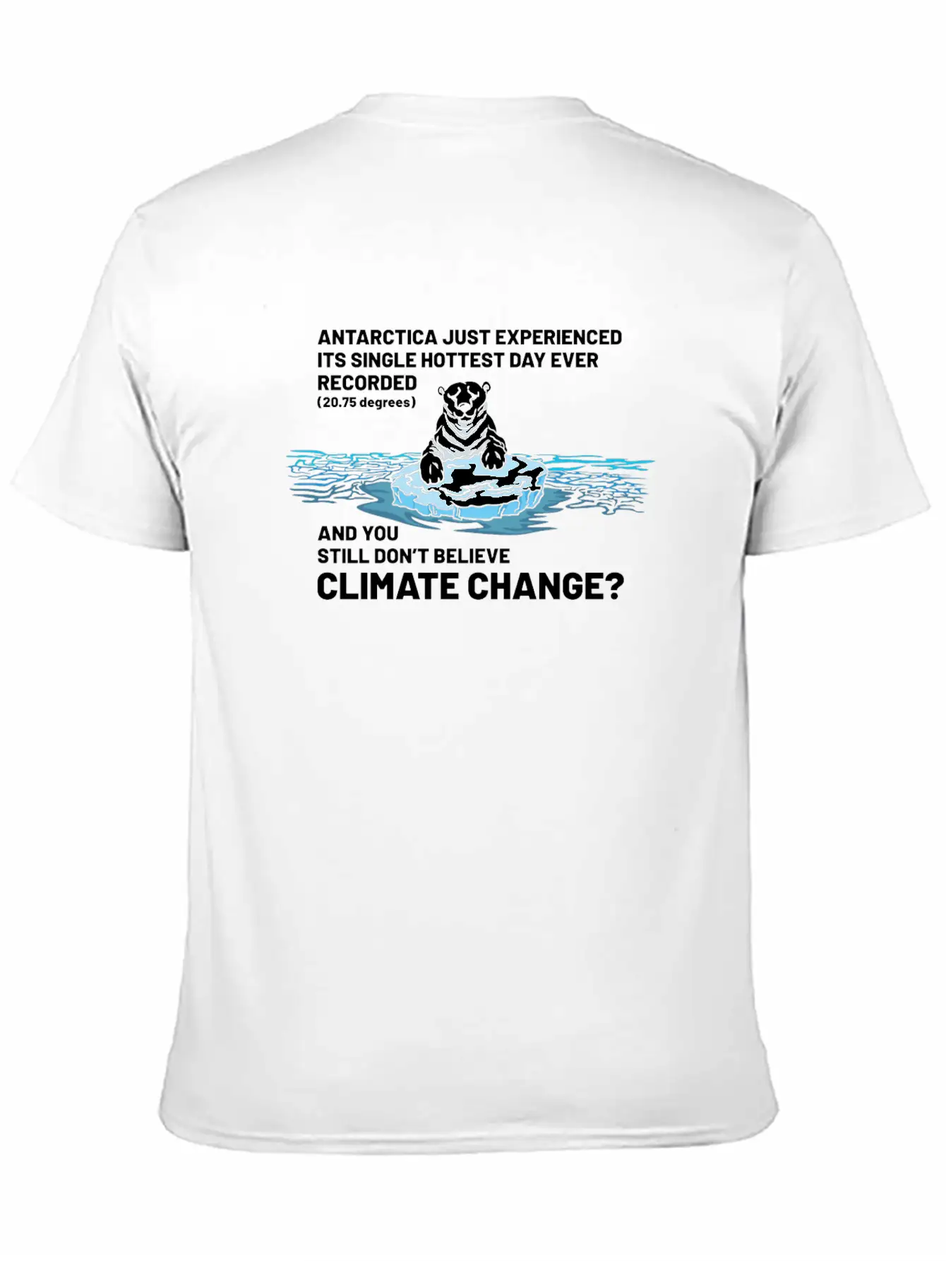 Believe In Climate Change Lightweight Cotton T-Shirt – Daily Comfort Graphic Shirt
