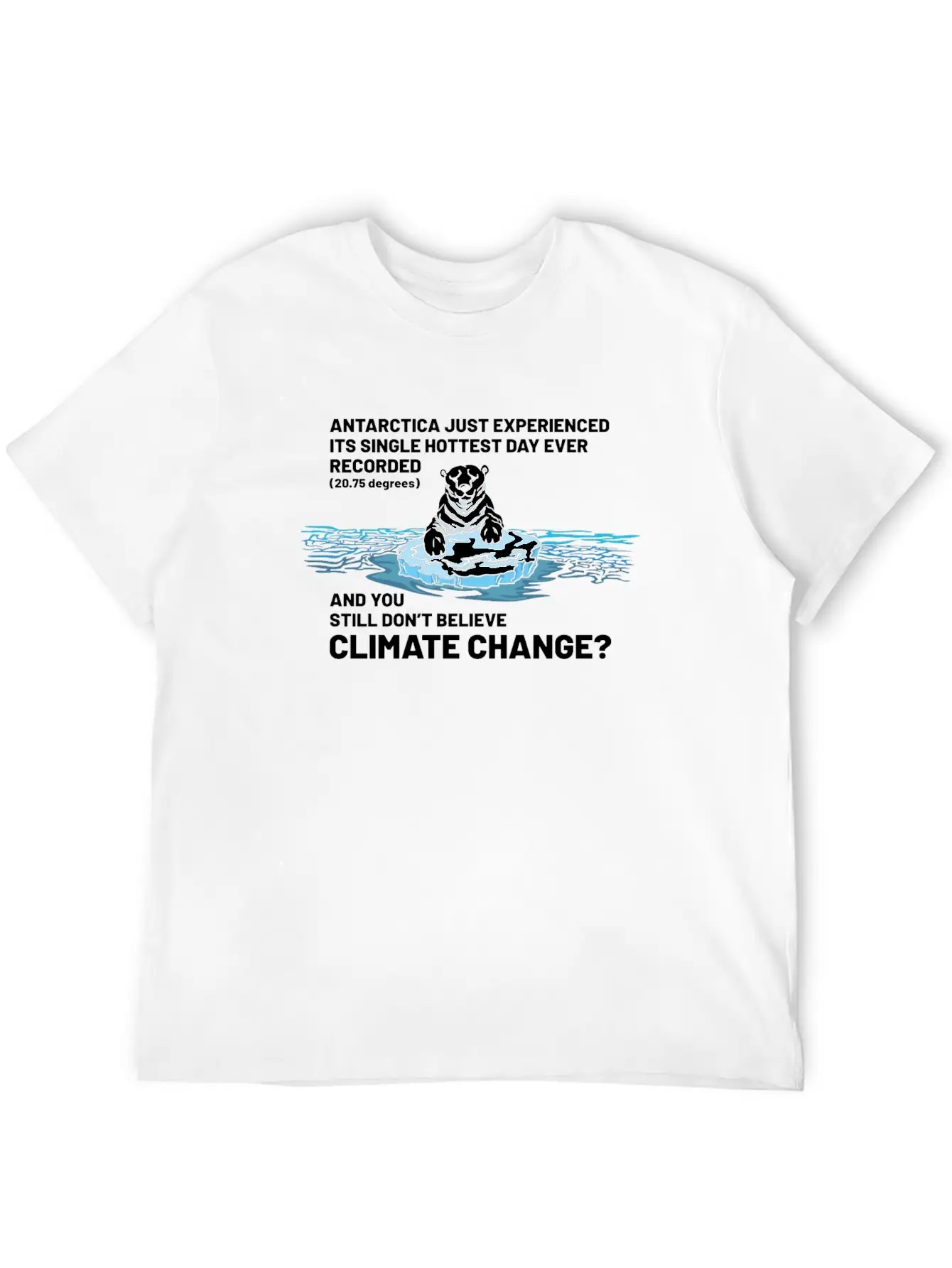 Believe In Climate Change Lightweight Cotton T-Shirt – Daily Comfort Graphic Shirt