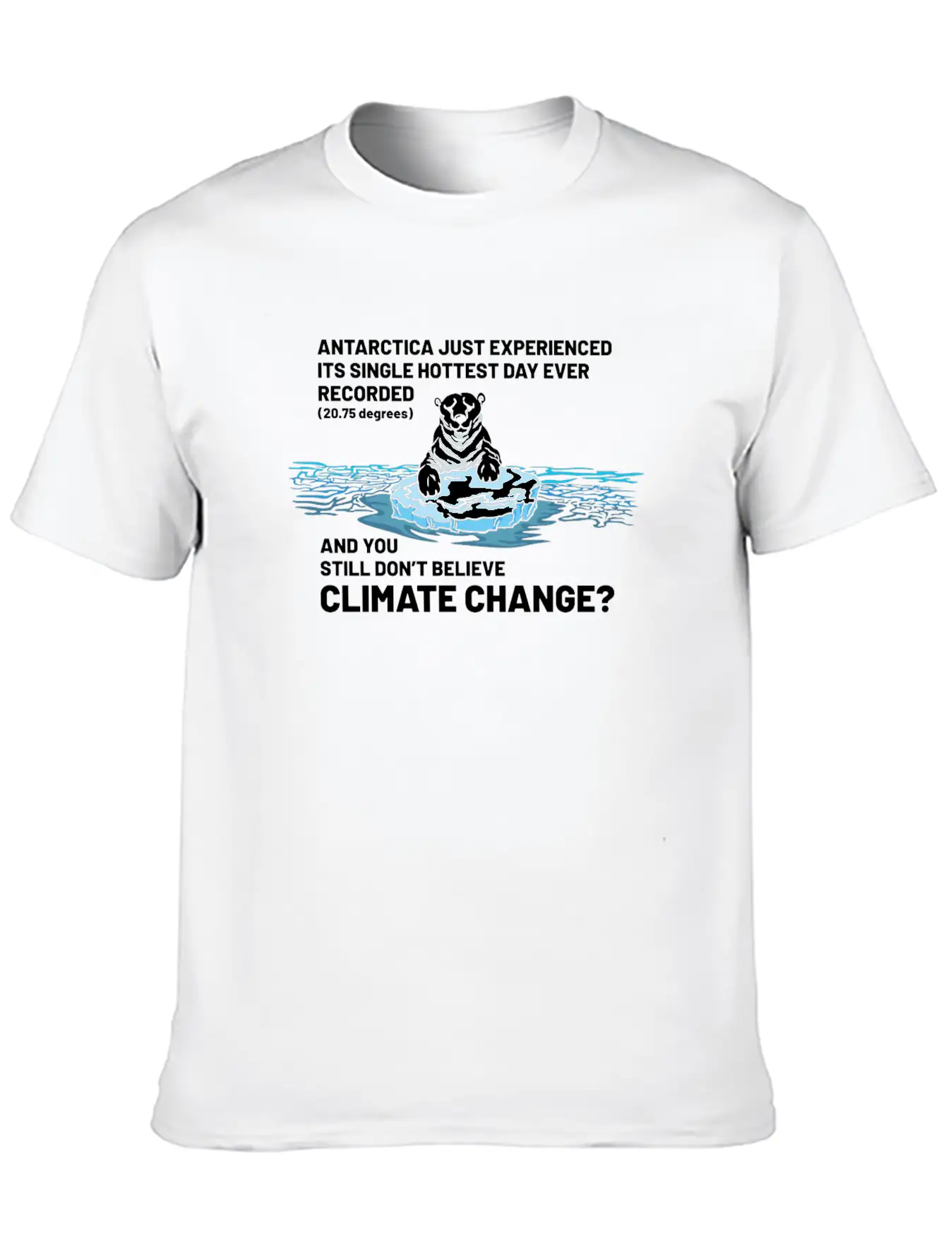 Believe In Climate Change Lightweight Cotton T-Shirt – Daily Comfort Graphic Shirt